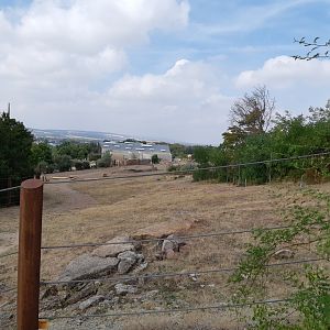 African elephant exhibit - Zoopark Erfurt