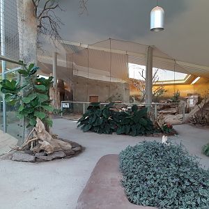 Savanna house - Zoopark Erfurt