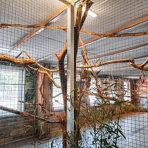 Main aviary outside viewing