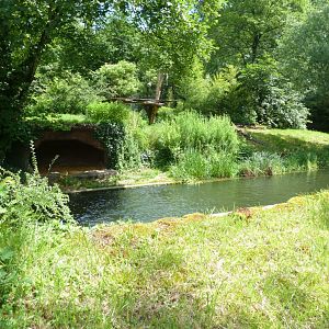 SIberian tiger enclosure