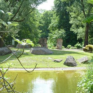 Greater One-horned rhinoceros enclosure