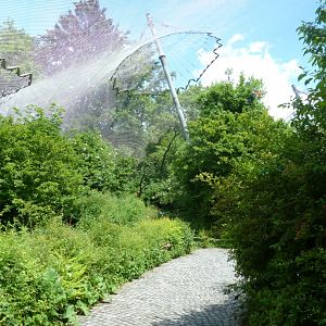 Large aviary - General view
