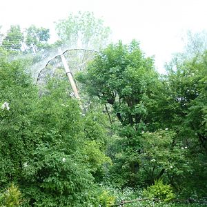 Large aviary - General view