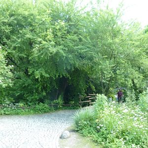 Large aviary - General view towards exit