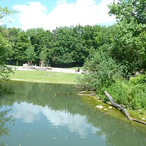 American wood bison enclosure