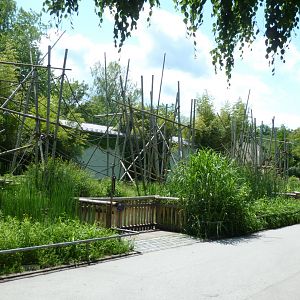 Silvery gibbon enclosure