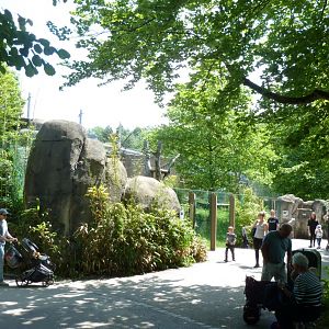 Chimpansee enclosure