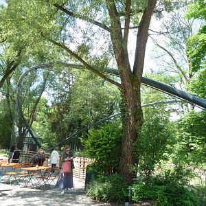 Flamingo aviary at main entrance