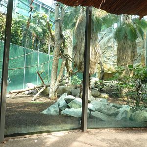 Urwaldhaus - Mixed species enclosure
