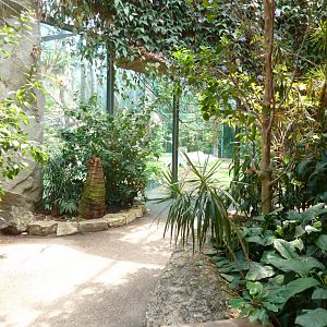 Urwaldhaus - View towards chimpansee enclosure