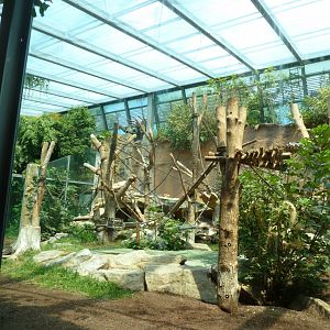 Urwaldhaus - Chimpansee enclosure