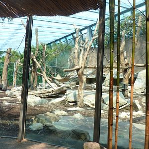 Urwaldhaus - FIrst western lowland gorilla enclosure
