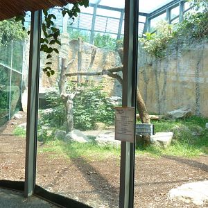 Urwaldhaus - Second western lowland gorilla (?) enclosure