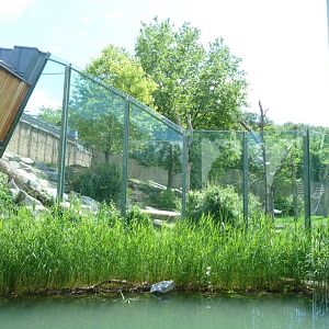 Urwaldhaus - Western lowland gorilla outdoors enclosure