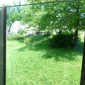 Urwaldhaus - Chimpansee enclosure