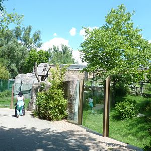 Urwaldhaus - Chimpansee enclosure
