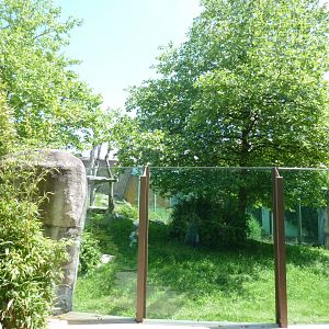 Urwaldhaus - Chimpansee enclosure