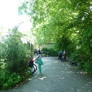 Urwaldhaus - Chimpansee enclosure