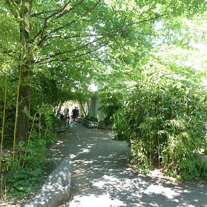 Path behind the Venomous snake house