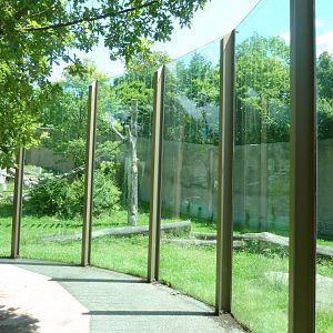 Western lowland gorilla enclosure