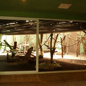 Welt der Affen - Colombian black spider monkey enclosure