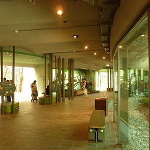 Welt der Affen - visitor area