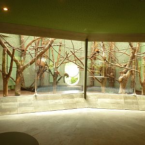 Welt der Affen - Red ruffed lemur enclosure