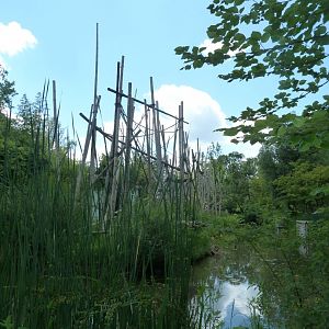 Silvery gibbon enclosure