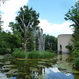 Welt der Affen - Siamang enclosure