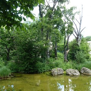 Welt der Affen - Red ruffed enclosure