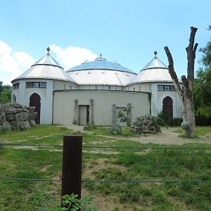 Elephant house - Bull enclosure