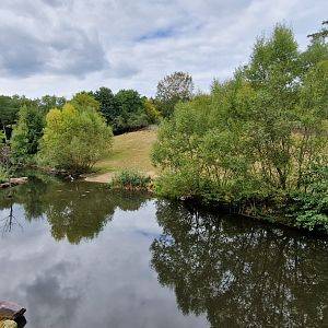 Hippo/Impala/Waterbuck/Nyala exhibit