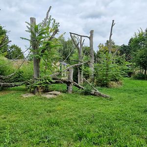 Chimpanzee outdoor exhibit
