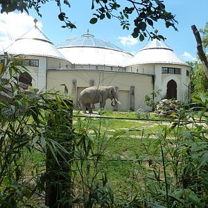 Elephant house - Gajendra