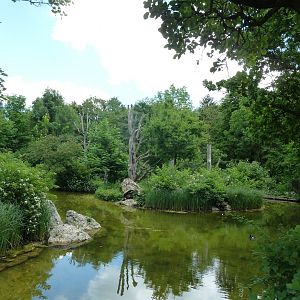 Welt der Affen - Colombian black spider monkey island