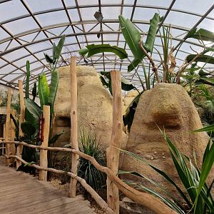 Madagascar Bird House