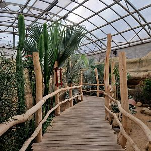 Madagascar Bird House