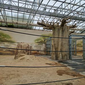 African Elephant house