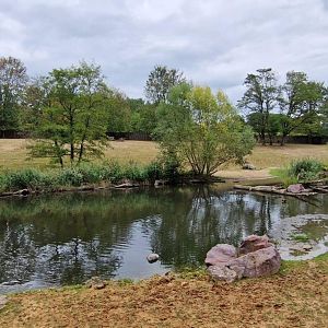 Hippo/Impala/Waterbuck/Nyala exhibit
