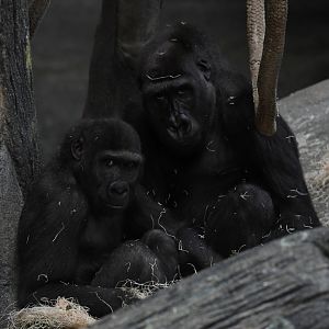 Sisters Ali and Nora