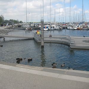 Roskilde Oplevelseshavn - Outdoor area