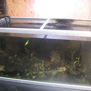 Roskilde Oplevelseshavn - Fish tank #2