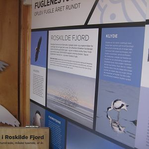 Roskilde Oplevelseshavn - Signage example