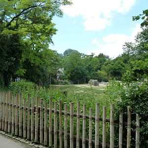 Elefantenhaus - Herd enclosure