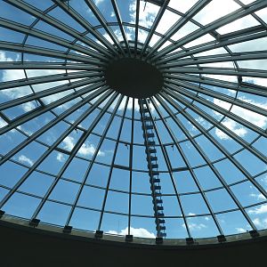 Elefantenhaus - Dome