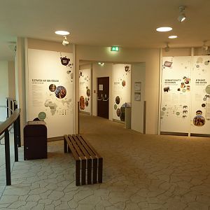Elefantenhaus - Exhibition room