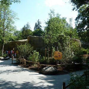 Lion enclosure surroundings