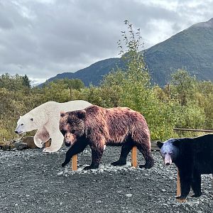 Three Bears