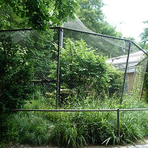 Dschungelwelt - Fishing cat enclosure