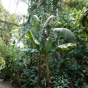 Dschungelwelt - General view